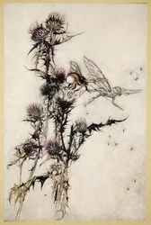 Kill me a red-hipped humble-bee on the top of a thistle, illustration from 